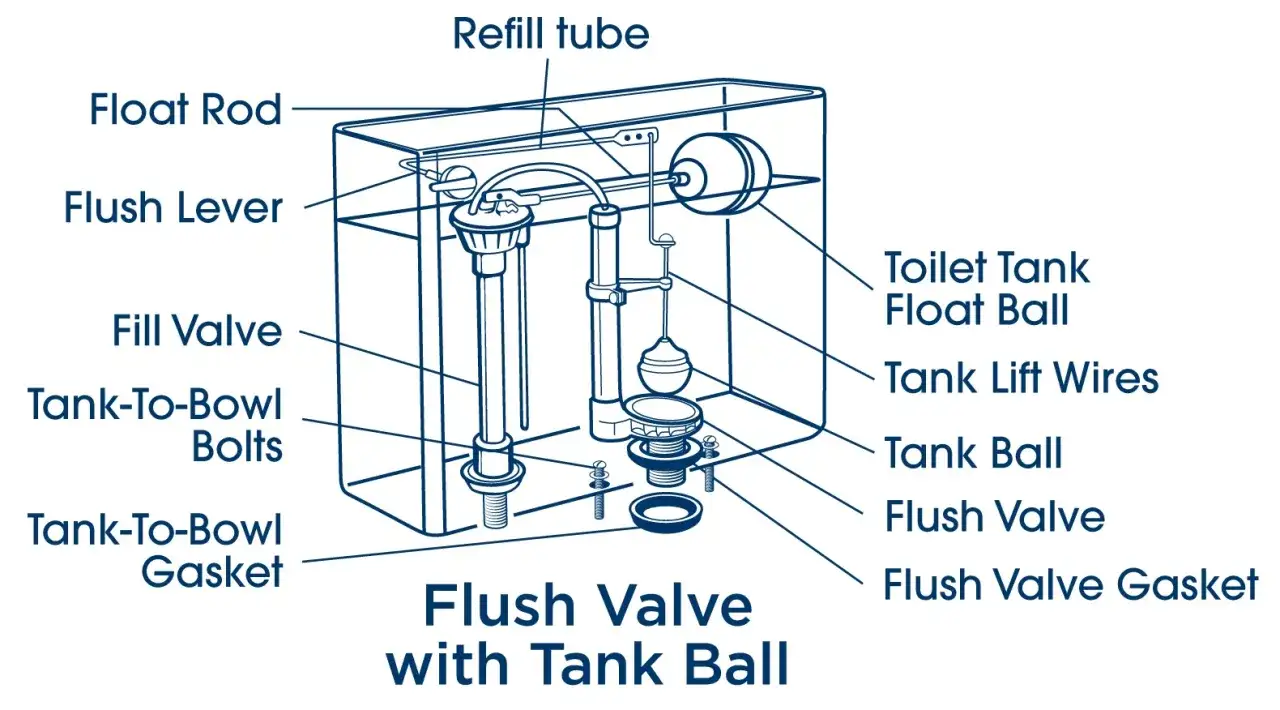 Diagram of a toilet tank's flush valve mechanism. Shows components like the float rod, flush lever, fill valve, and tank ball. The diagram illustrates how the tank ball seals the flush valve, preventing water from entering the bowl, which would result ...