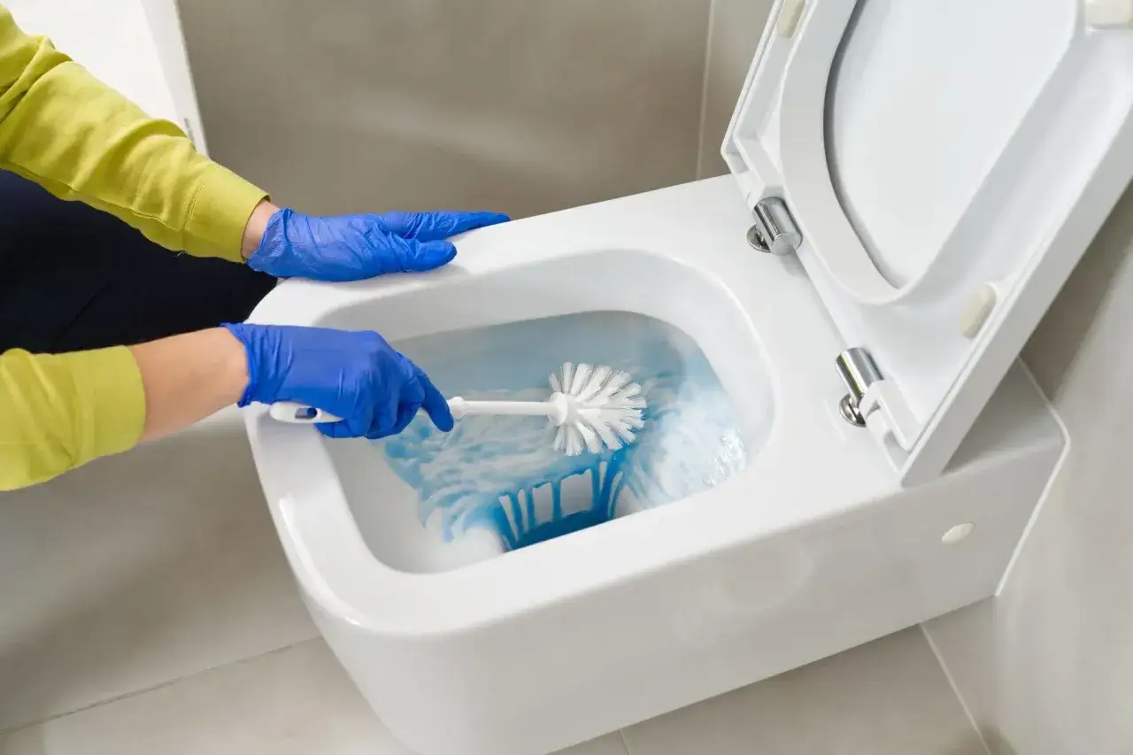 Person mit blauen Handschuhen schrubbt mit Bürste die Toilette. Hausmittel zum Urinstein entfernen sind hier im Einsatz.