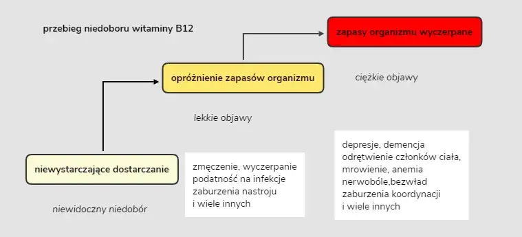 Objawy niedoboru witaminy B12 i kwasu foliowego