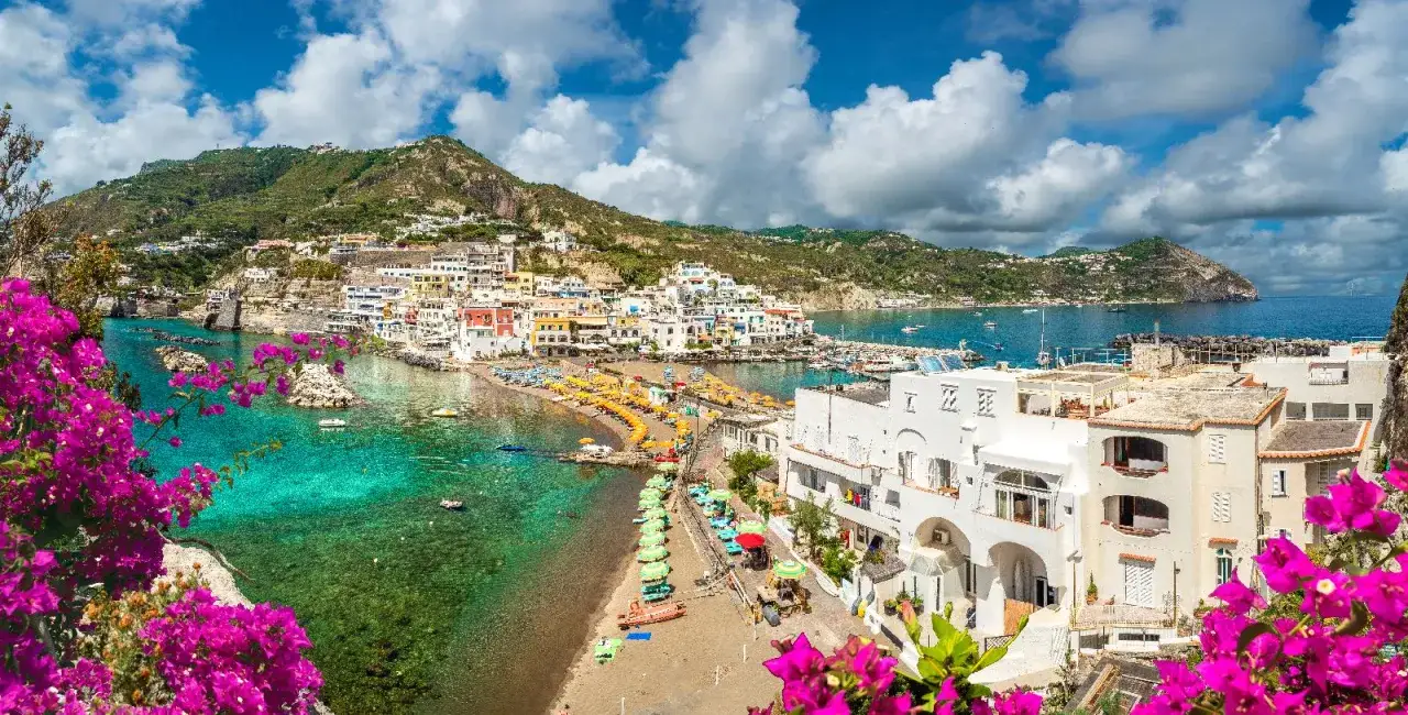 Vista panoramica di una baia con spiaggia, case colorate e montagne verdi. Il **hotel Hermitage Ischia** è vicino al mare, con fiori fucsia in primo piano.