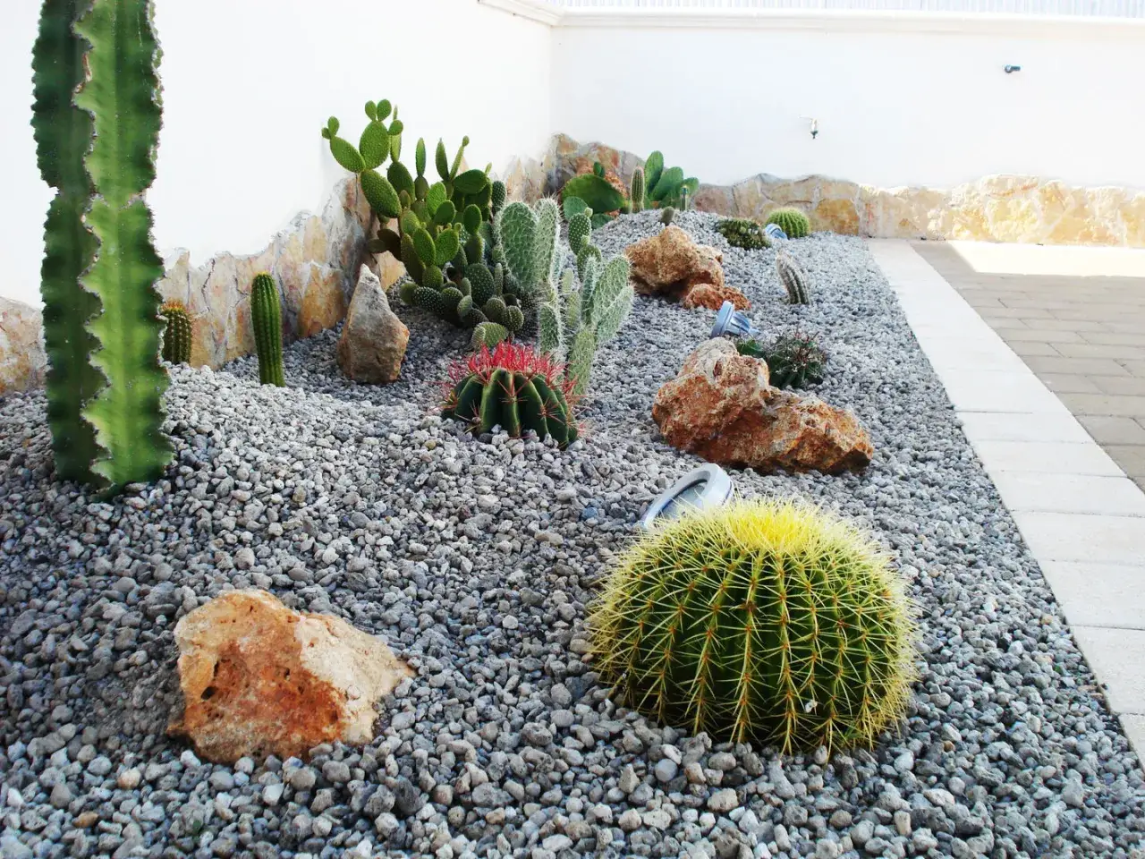 Un jardín desértico con cactus variados, grandes y pequeños, sobre grava y piedras. Un paisaje árido y hermoso.