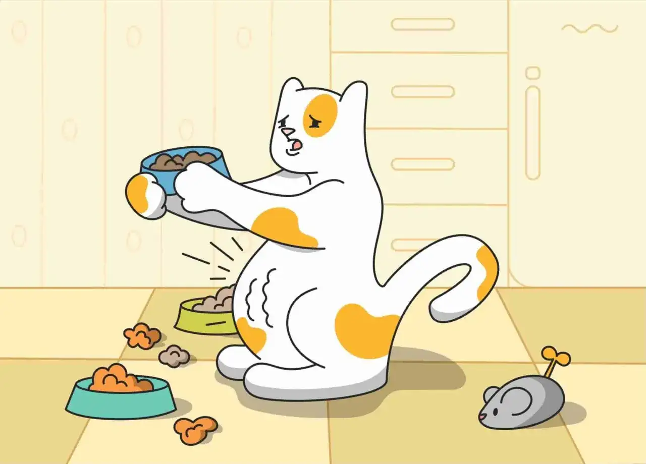 Un chat blanc et orange, le ventre rond, tient une gamelle vide. Il semble dire