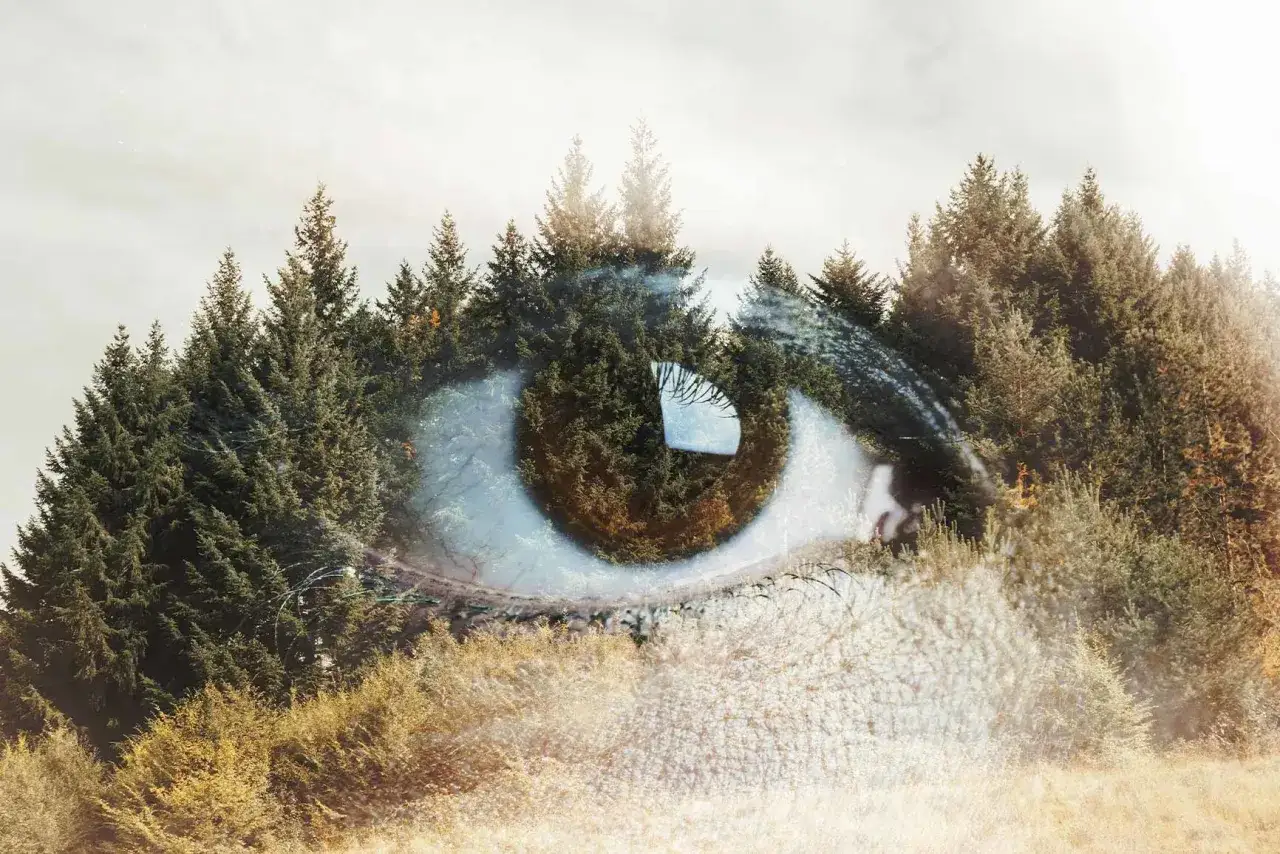 Œil humain superposé à une forêt de pins. Une photo double sens qui invite à voir le monde à travers la nature.