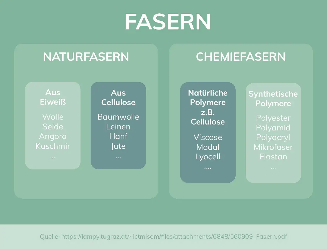 Übersicht über Fasern: Naturfasern (Eiweiß, Cellulose) und Chemiefasern (natürliche Polymere wie Viskose, synthetische Polymere).
