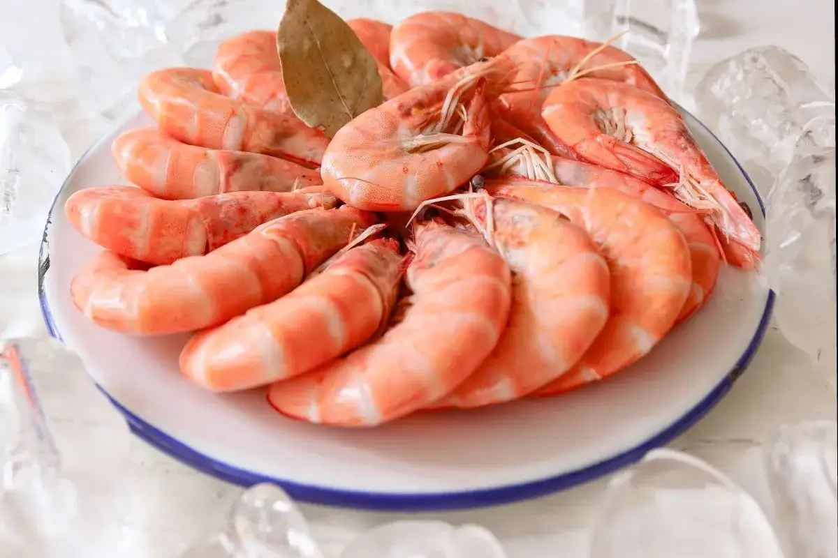 Plato con langostinos cocidos, listos para disfrutar. Rodeados de hielo, perfectos para una ocasi&oacute;n especial.