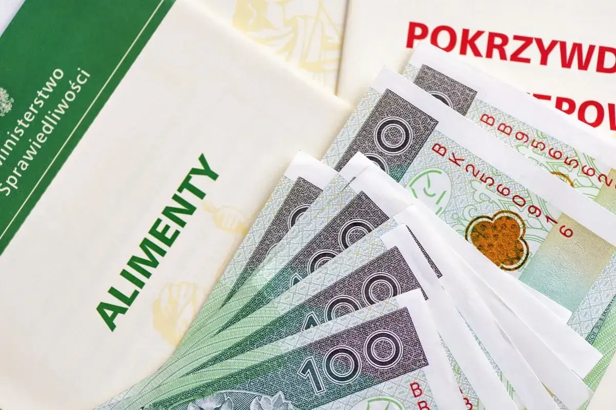 Dokumenty dotyczące aliment&oacute;w i pieniądze. Komornik za alimenty pobiera opłatę, kt&oacute;rej wysokość zależy od wielu czynnik&oacute;w.