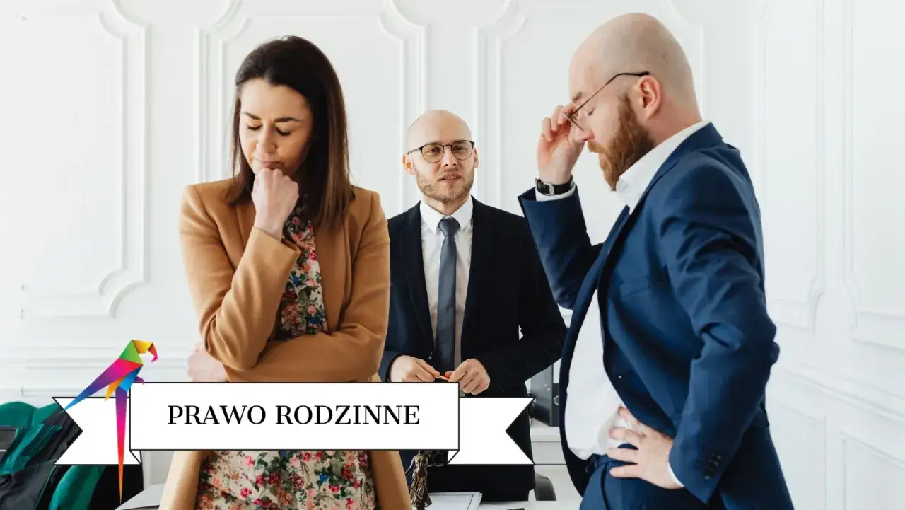 proces apelacji rozwodowej schemat