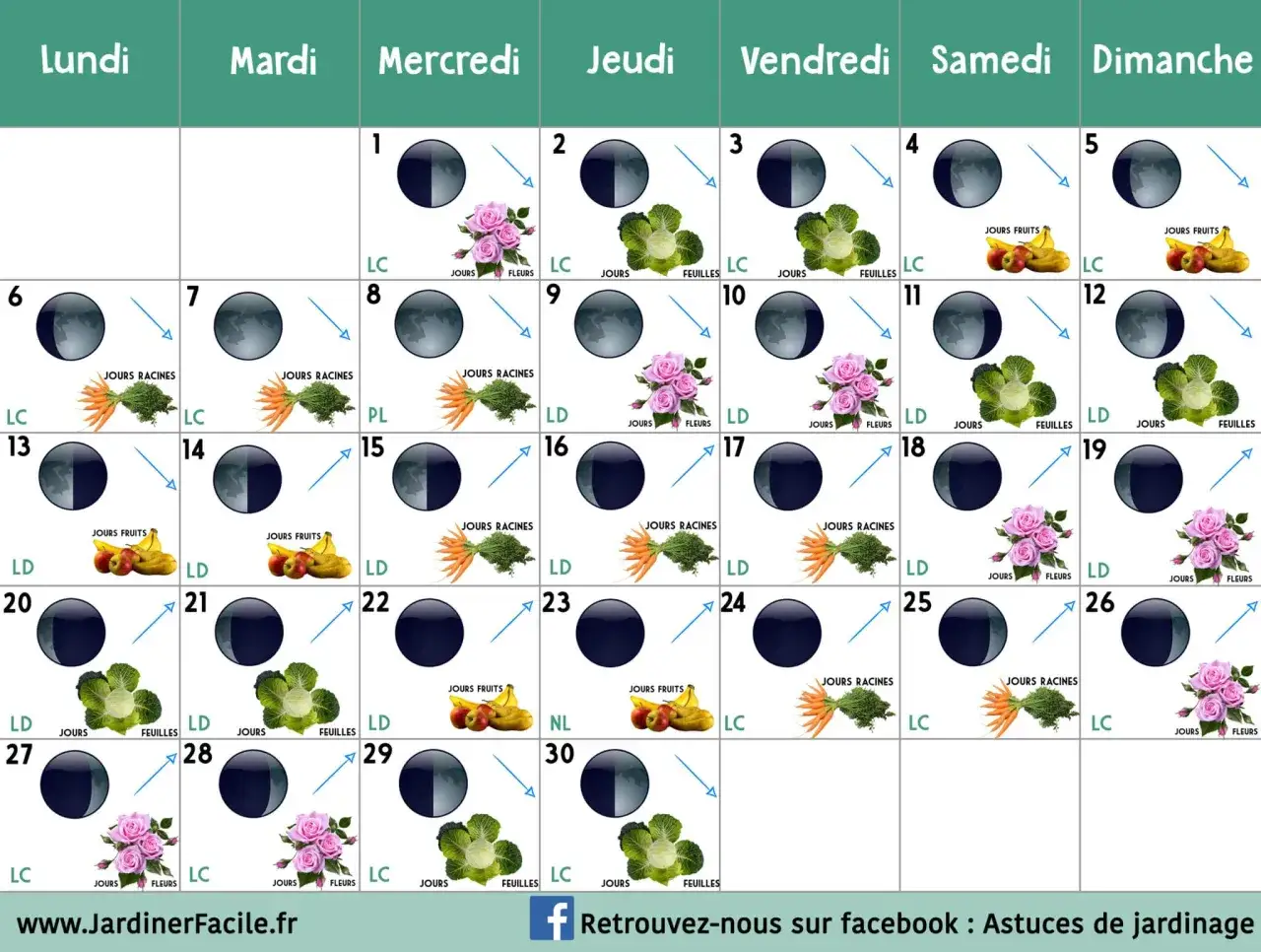 Calendrier lunaire du jardinier : phases lunaires et indications pour semer racines, fleurs, fruits ou feuilles chaque jour.