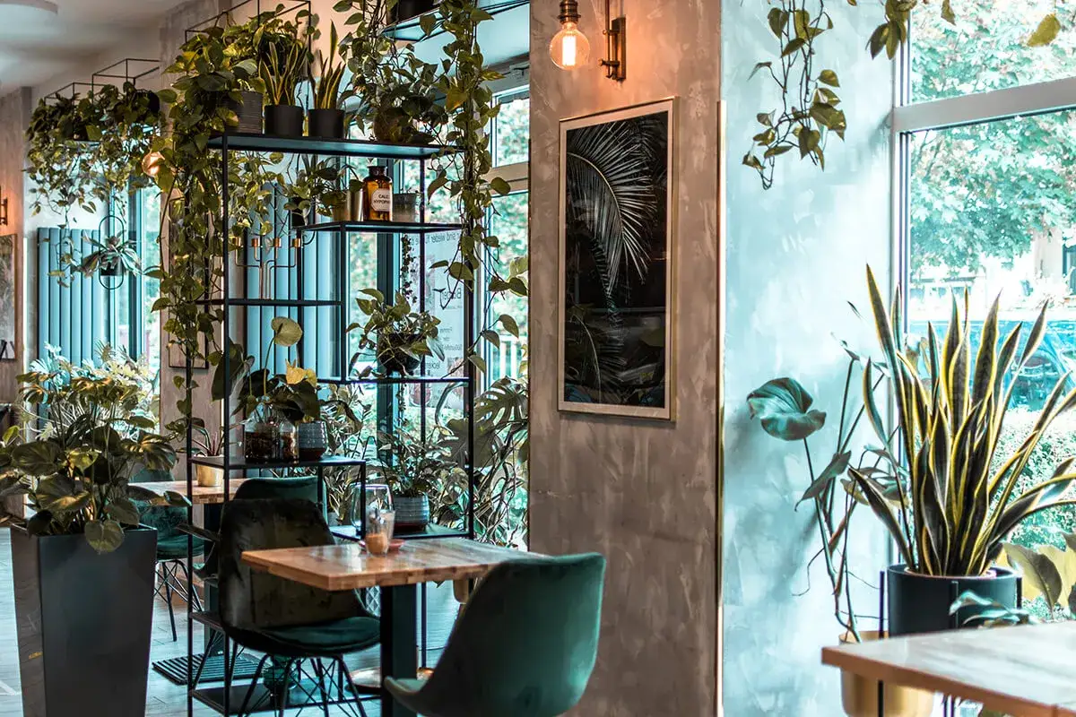 Grüne Samtstühle und Holztische laden im **Cafe Impuls** zum Verweilen ein, umgeben von üppiger Pflanzenpracht und tropischen Bildern.