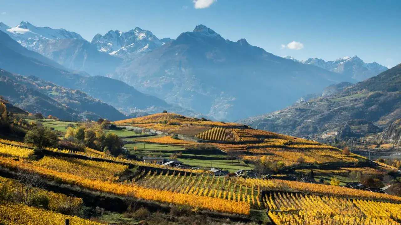 Vigneti dorati sui pendii alpini, un paesaggio mozzafiato che celebra i vini della Valle d'Aosta.