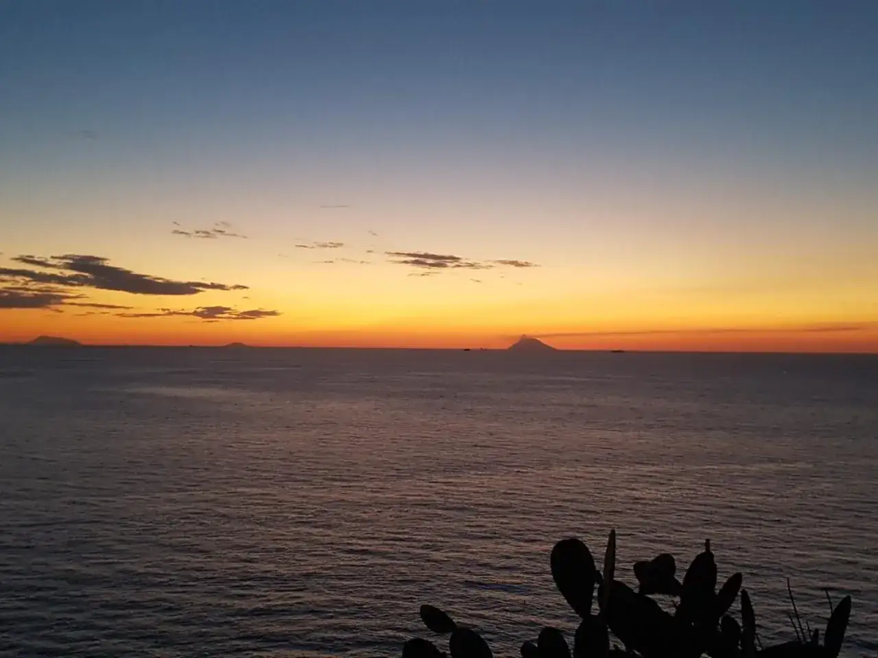 Tramonto sulle isole calabresi, con il profilo di Stromboli in lontananza e cactus in primo piano.