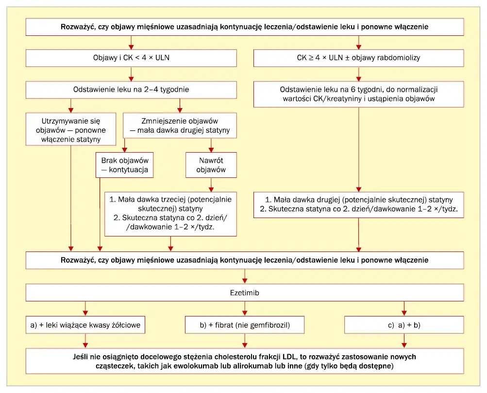 Czynniki ryzyka b&oacute;l&oacute;w mięśni statyny