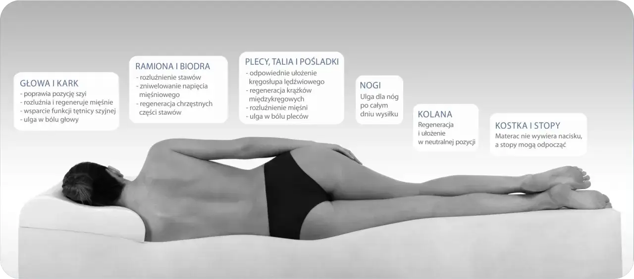 Anatomia kręgosłupa na materacu