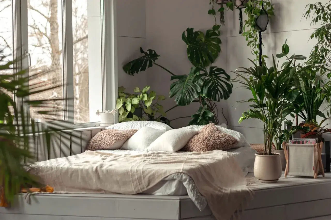 En mysig säng med många växter runt omkring, perfekt för att meditera hemma. Ljuset flödar in genom fönstret.