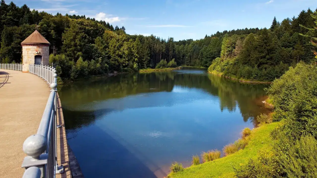 Ein idyllischer See umgeben von grünen Wäldern, mit einem historischen Turm auf einer Dammkrone. Perfekt für genuss wandern.