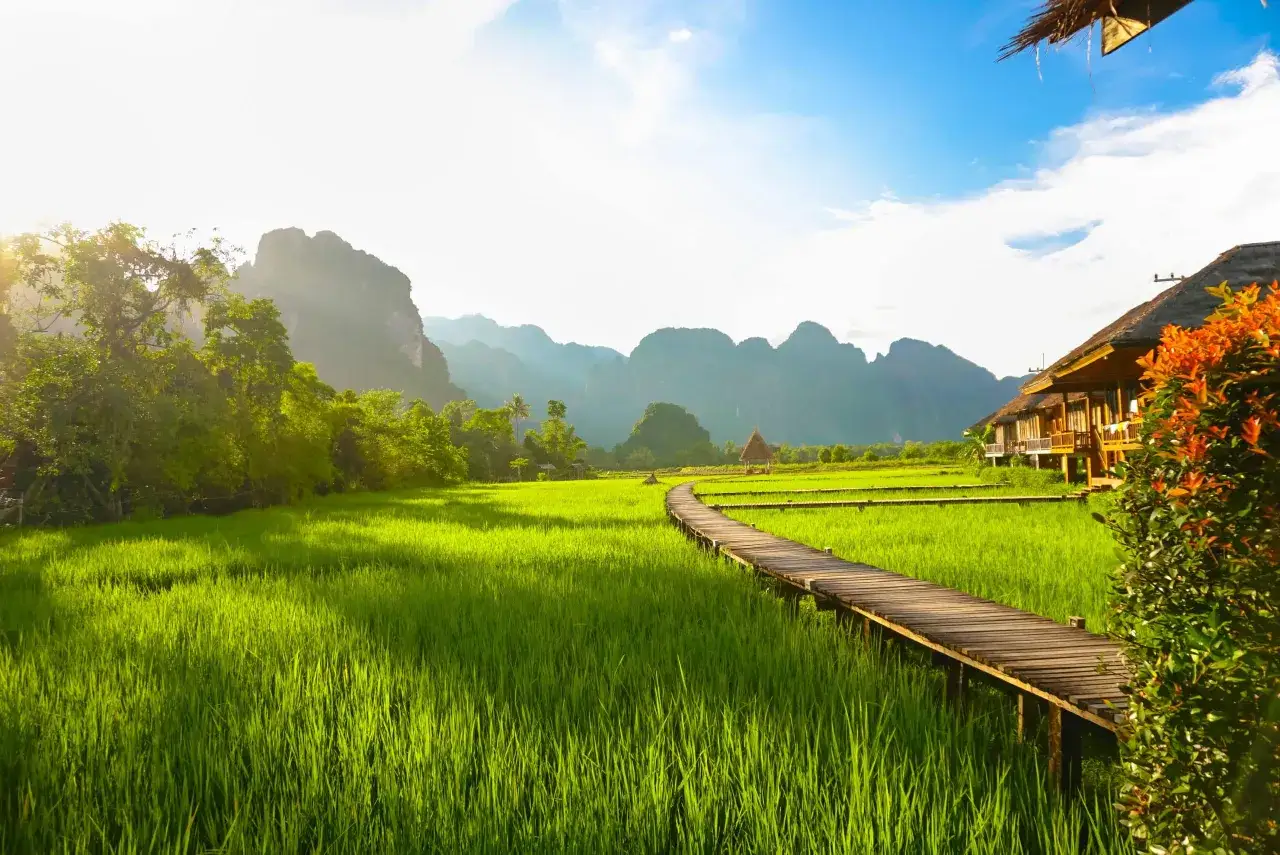 Chemin en bois traversant une rizière verdoyante au Laos, avec des montagnes en arrière-plan. Un voyage inoubliable.