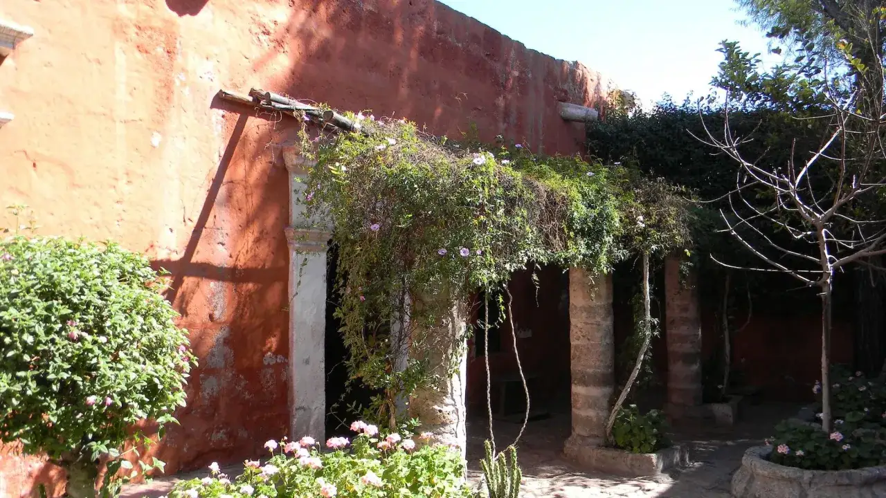 Una exuberante planta trepadora cubre un arco de piedra, con flores rosadas y verdes follajes.
