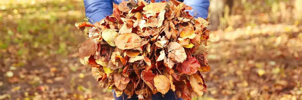 Ein Haufen bunter Herbstbl&auml;tter, gehalten von H&auml;nden in einer blauen Jacke. Die Frage, wie lange braucht Laub zum verrotten, besch&auml;ftigt viele G&auml;rtner.