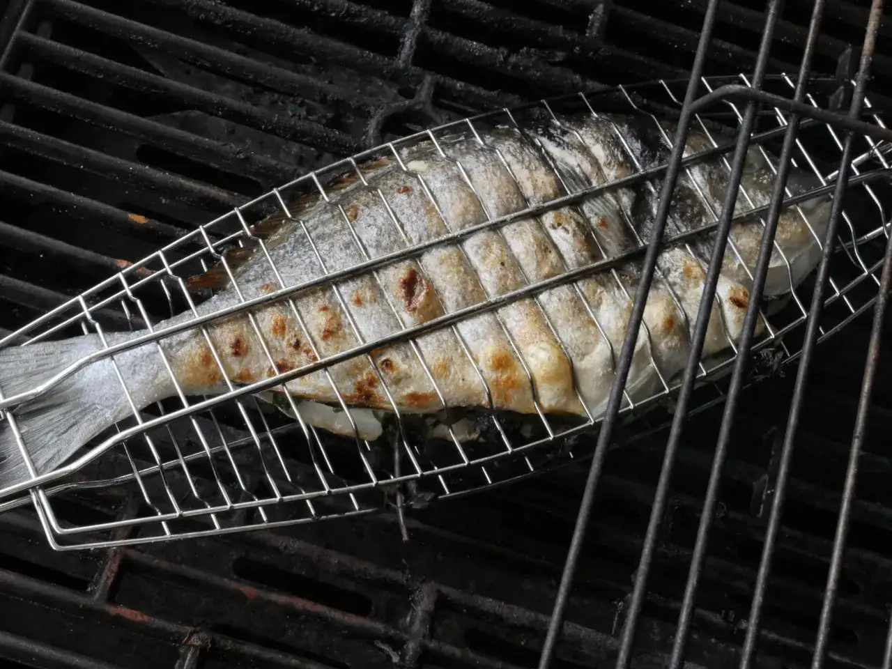 Ein ganzer Fisch wird in einem Grillkorb über glühenden Kohlen gegrillt.