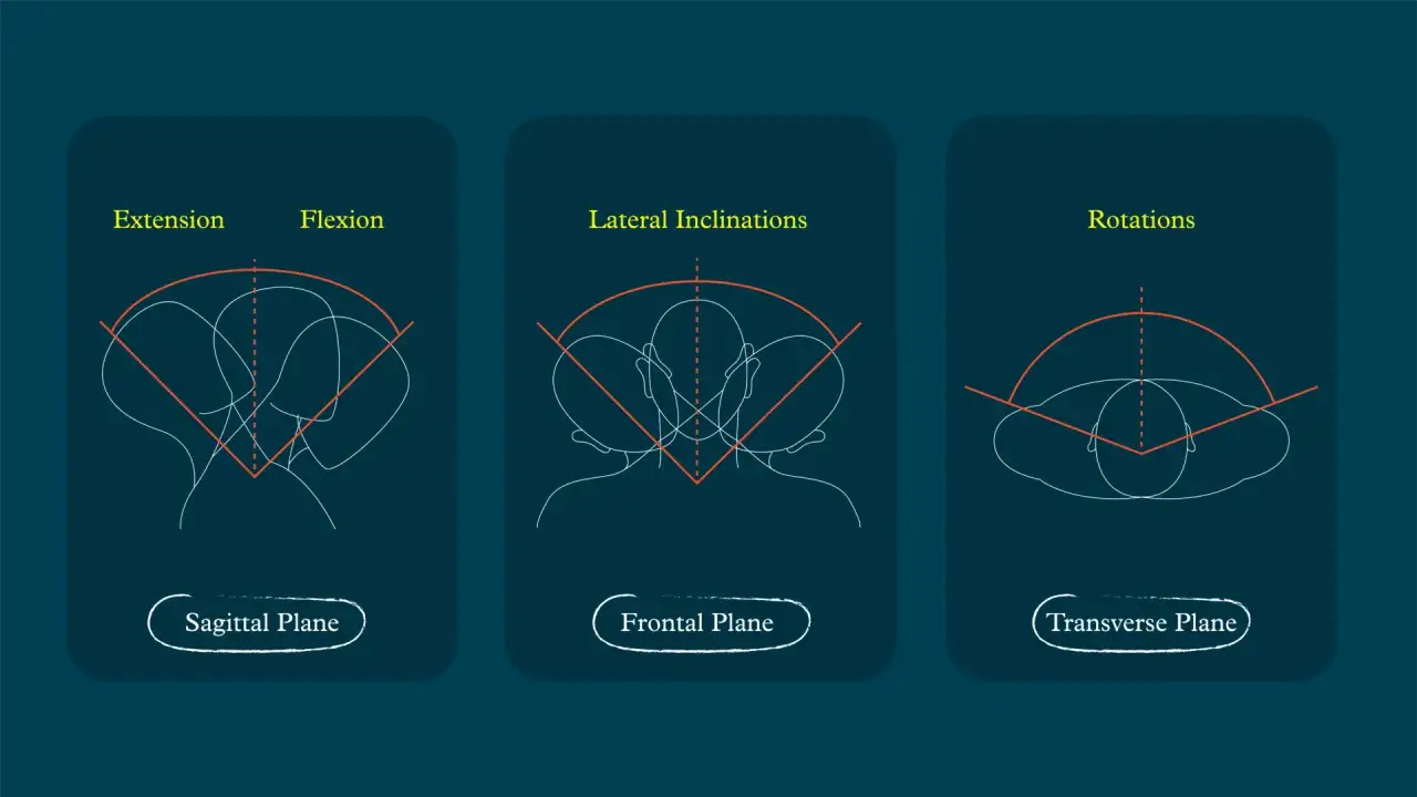 Diagrams illustrating neck training movements: extension, flexion, lateral inclinations, and rotations, shown in sagittal, frontal, and transverse planes.