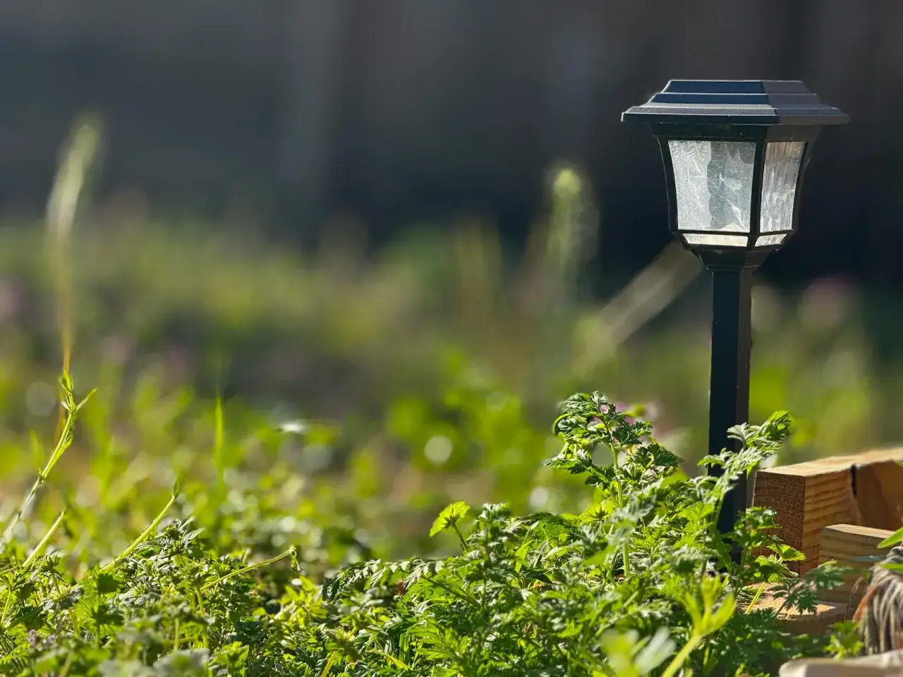 Lampa solarna w zieleni. Zastanawiasz się, jak naładować lampę solarną bez słońca? Wystarczy sztuczne światło!