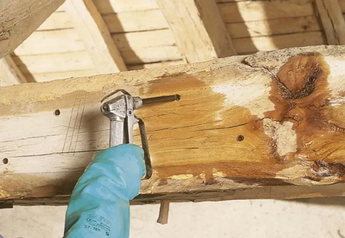 Application d'un produit pour traiter la charpente en bois, protégeant ainsi la structure ancienne.