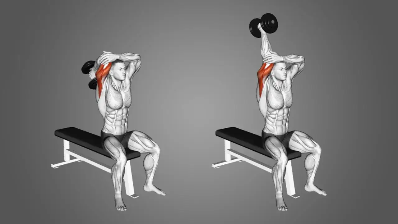 Man utför overhead triceps extension med hantlar sittande på en bänk.