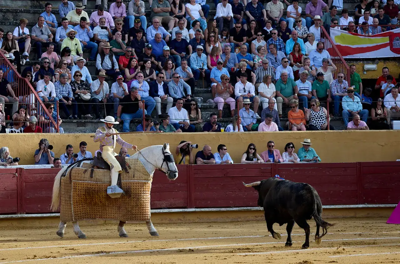 Un torero a caballo se prepara para el concurso de corridas, mientras un toro se acerca en la arena. El público observa desde las gradas.