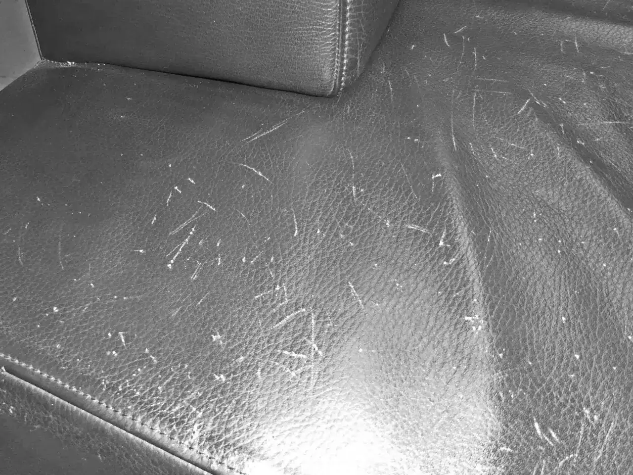 Canap&eacute; en cuir noir couvert de nombreuses griffures. Une solution pour reparer griffure cuir est n&eacute;cessaire.
