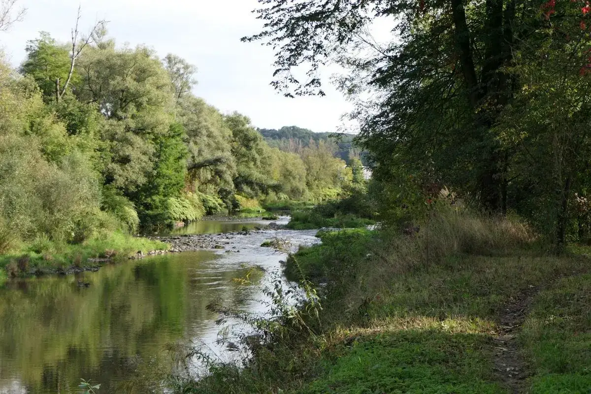 Malowniczy zakręt rzeki, idealny na rowerowy Cieszyn. Bujna zieleń, kamieniste dno i ścieżka wiodąca przez trawiaste zbocze.
