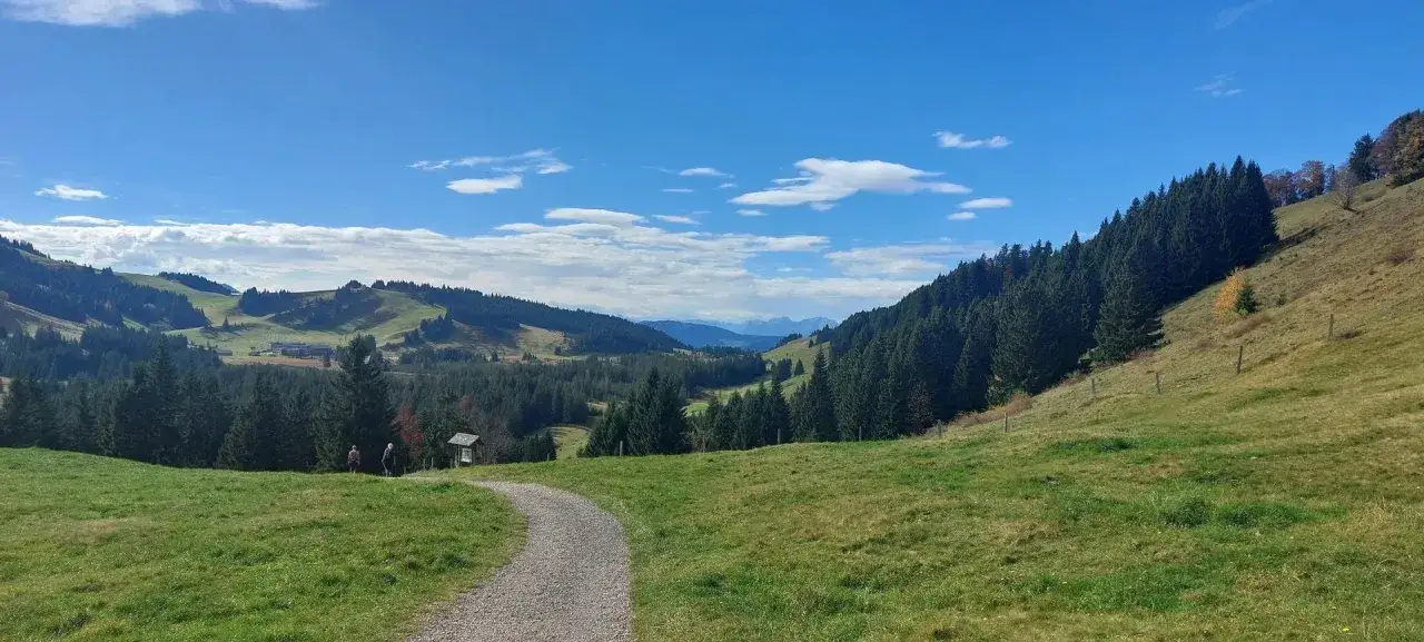 Ein Kiesweg f&uuml;hrt durch gr&uuml;ne Wiesen und W&auml;lder. Zwei Wanderer genie&szlig;en die Aussicht auf die Berge. Perfekt zum **imberg wandern**.