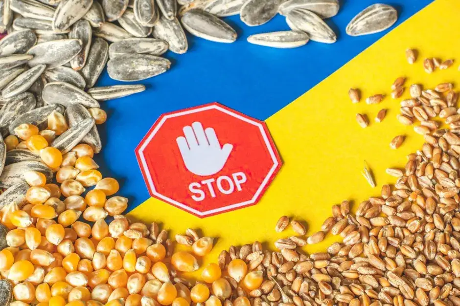 Zakazane produkty spożywcze granica, mięso nabiał Ukraina