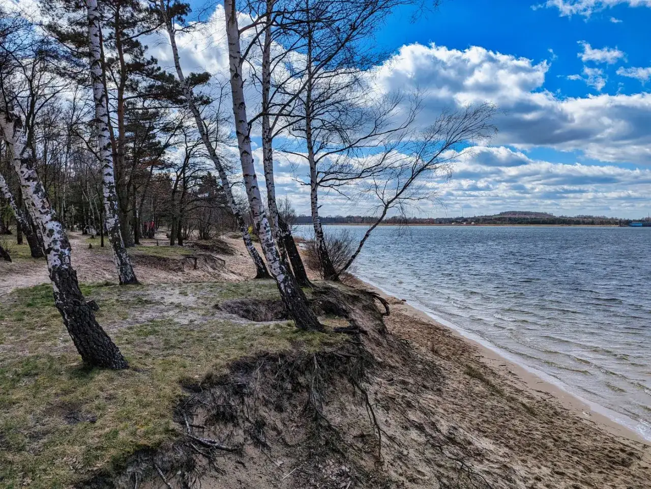 Brzeg zalewu Dziećkowice z kępami drzew, piaszczystą plażą i falującą wodą pod błękitnym, chmurowym niebem.
