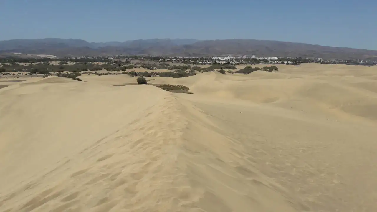 Krajobraz z **Dunas de Maspalomas**: piaszczyste wydmy, zieleń i hotele w oddali pod błękitnym niebem.