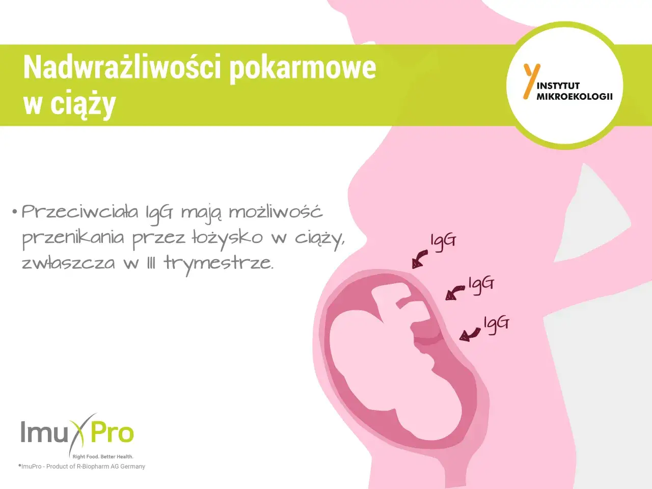 Ilustracja przedstawia ciążę i podkreśla, że przeciwciała IgG mogą przenikać przez łożysko, co jest istotne w kontekście nadwrażliwości pokarmowych w ciąży.