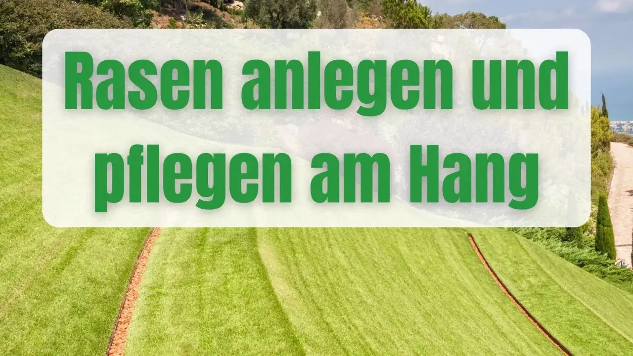 Gr&uuml;ner Rasen am Hang, mit Text 