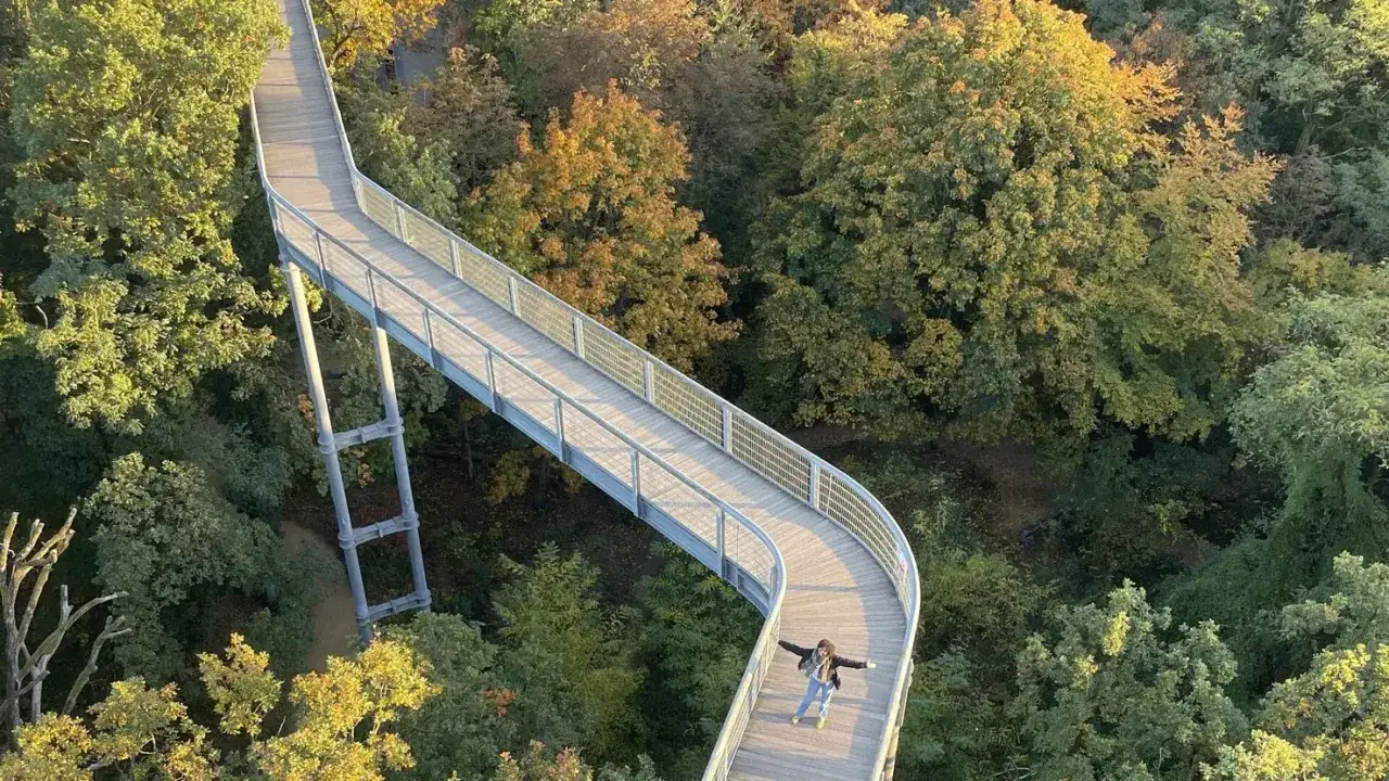 Baumkronenpfad im Herbst. Ein tolles Ausflugsziel in Berlin Brandenburg f&uuml;r Naturfreunde.