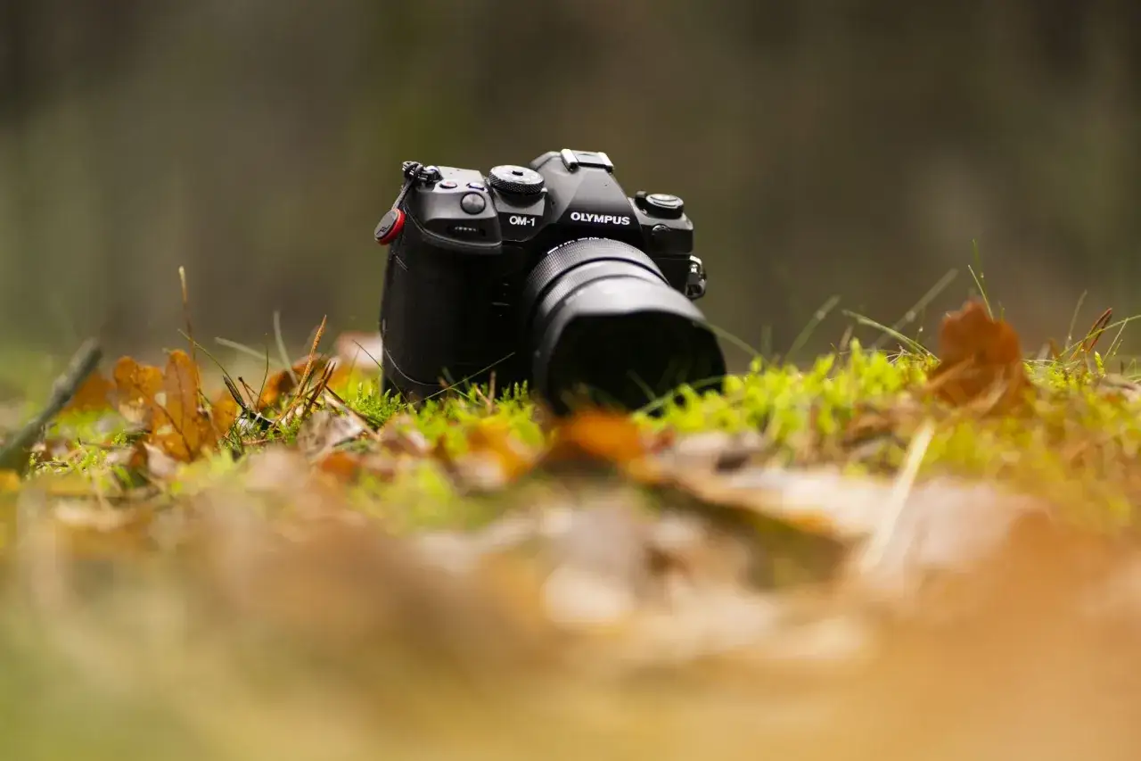 Czarny aparat Olympus OM-1 leży na mchu i jesiennych liściach, gotowy do uchwycenia piękna natury.