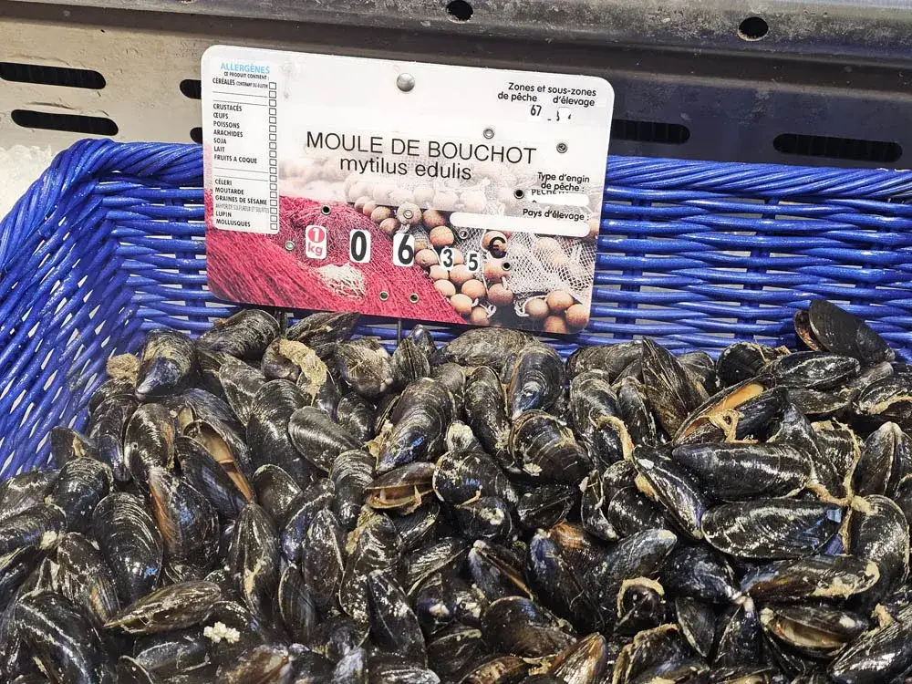 Moules fra&icirc;ches sur &eacute;tal de march&eacute; ou dans un filet