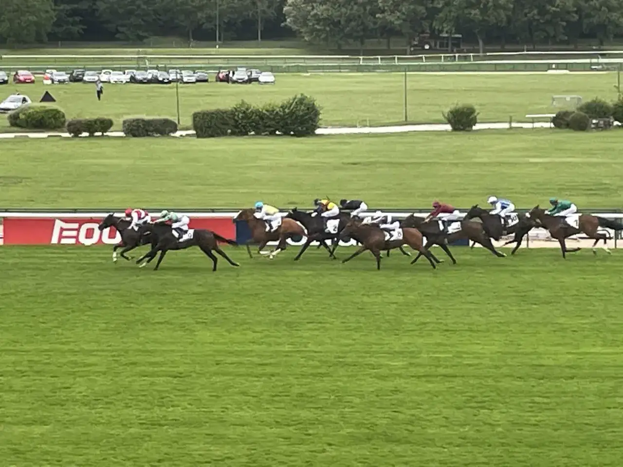 Course de chevaux, plusieurs galopeurs en pleine action sur l'herbe verte, jockeys colorés en selle.