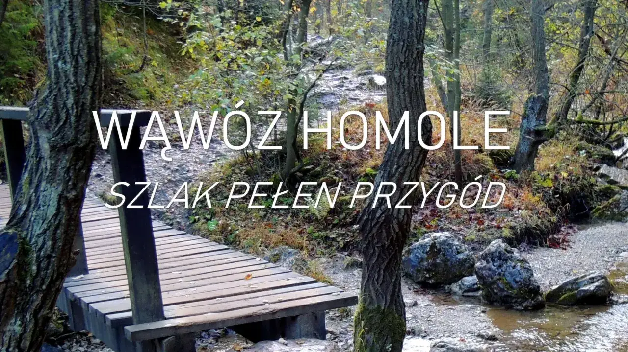 Drewniany mostek prowadzi przez jesienny las do malowniczego Wąwozu Homole. Szlak pełen przygód zaprasza do odkrywania piękna natury.