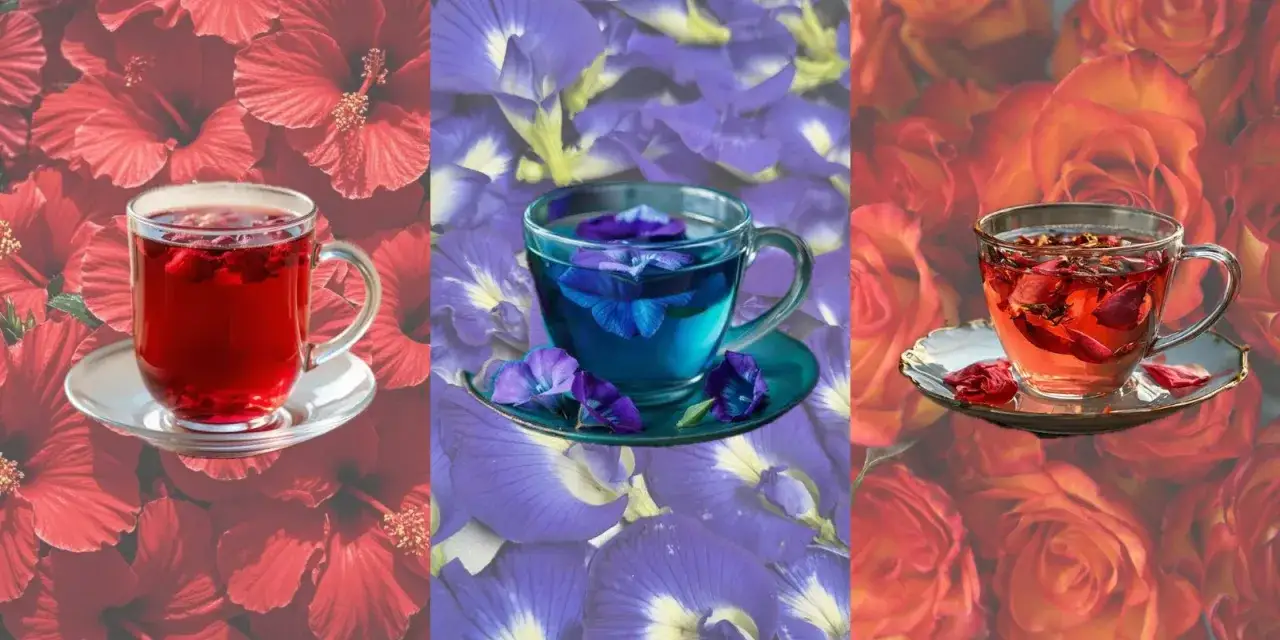 Trzy napary: czerwony, niebieski i różowy, na tle płatków kwiatów. Czy każdy hibiskus nadaje się na herbatę?