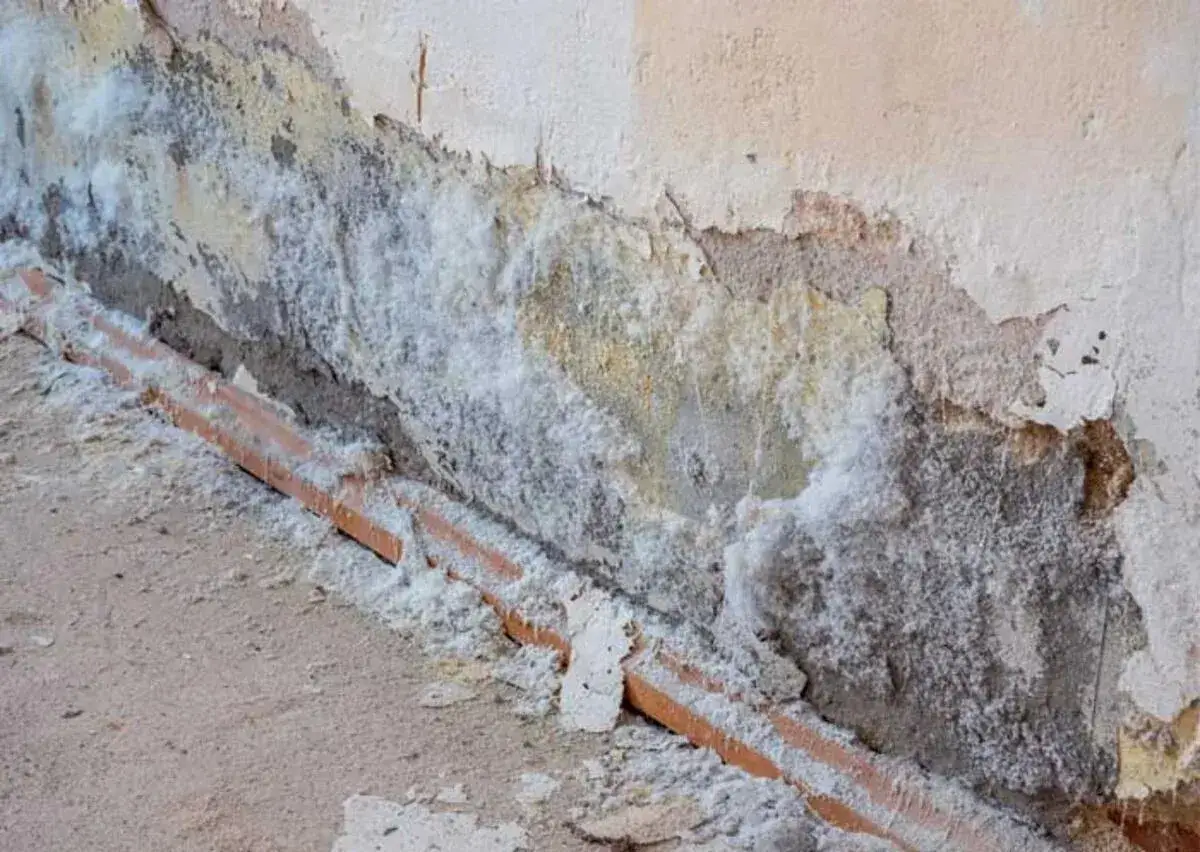 Detalle de una pared con desconchones y manchas blancas, indicando posible humedad o eflorescencia salina.