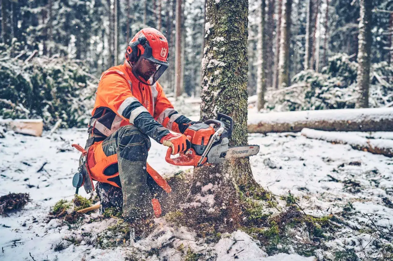 Drwal w pomarańczowej odzieży ochronnej używa piły łańcuchowej Husqvarna 560 XP w zimowym lesie. Dane techniczne tej maszyny pozwalają na efektywną pracę.