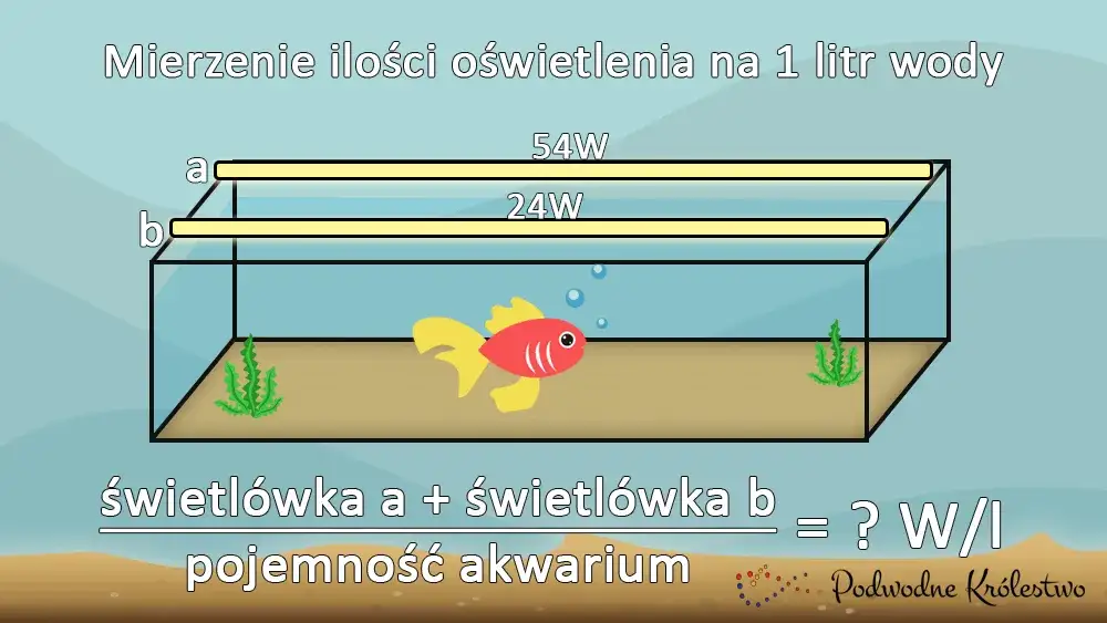 Zdjęcie Ile watów na litr wody w akwarium potrzeba dla zdrowych roślin - Poradnik
