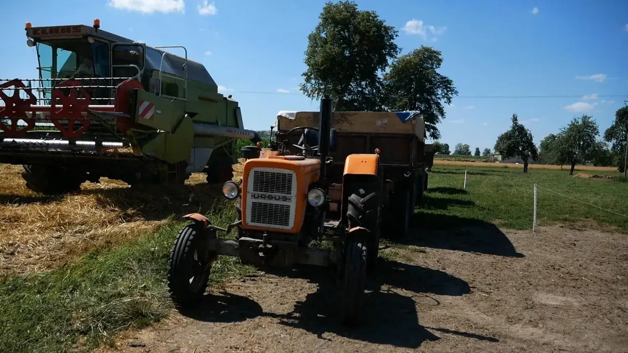 Pomarańczowy Ursus C-330 z przyczepą i kombajnem Claas na polu. Gotowy do pracy.