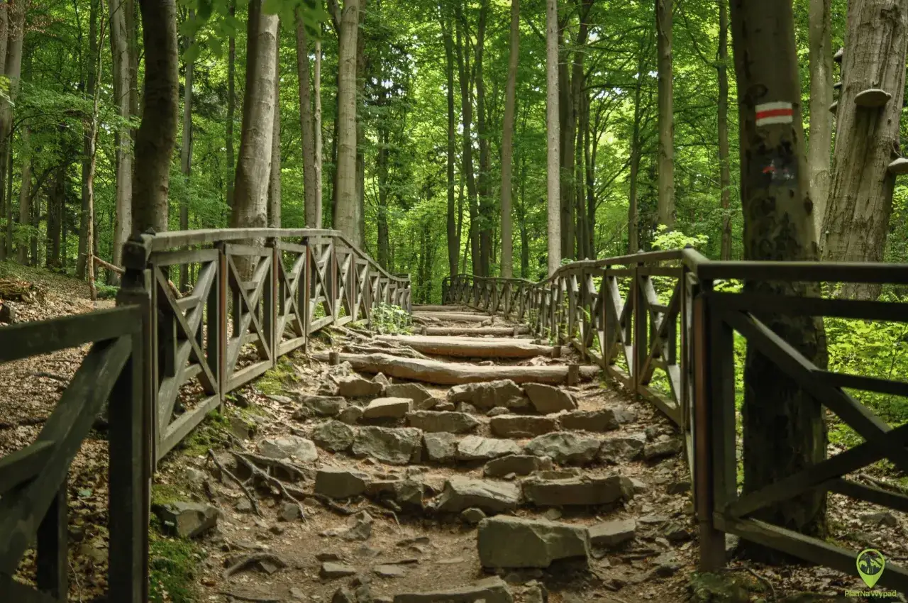 Kamienna ścieżka z drewnianą balustradą w lesie. Szlak turystyczny w G&oacute;rach Świętokrzyskich, co zobaczyć? Idealne miejsce na spacer.