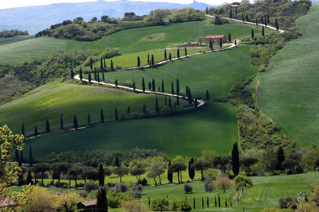Colline ondulate del Val d'Orcia, Italia, con una strada tortuosa fiancheggiata da cipressi che conduce a una casa colonica.