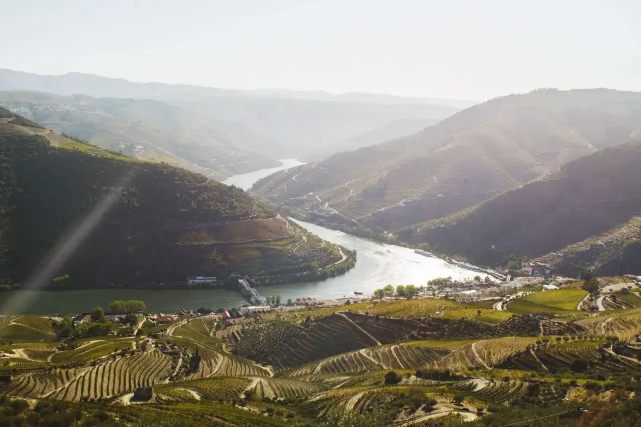 Sonnenbeschienene Weinberge am Douro in Portugal. Perfekte Temperaturen im Mai f&uuml;r eine Reise.