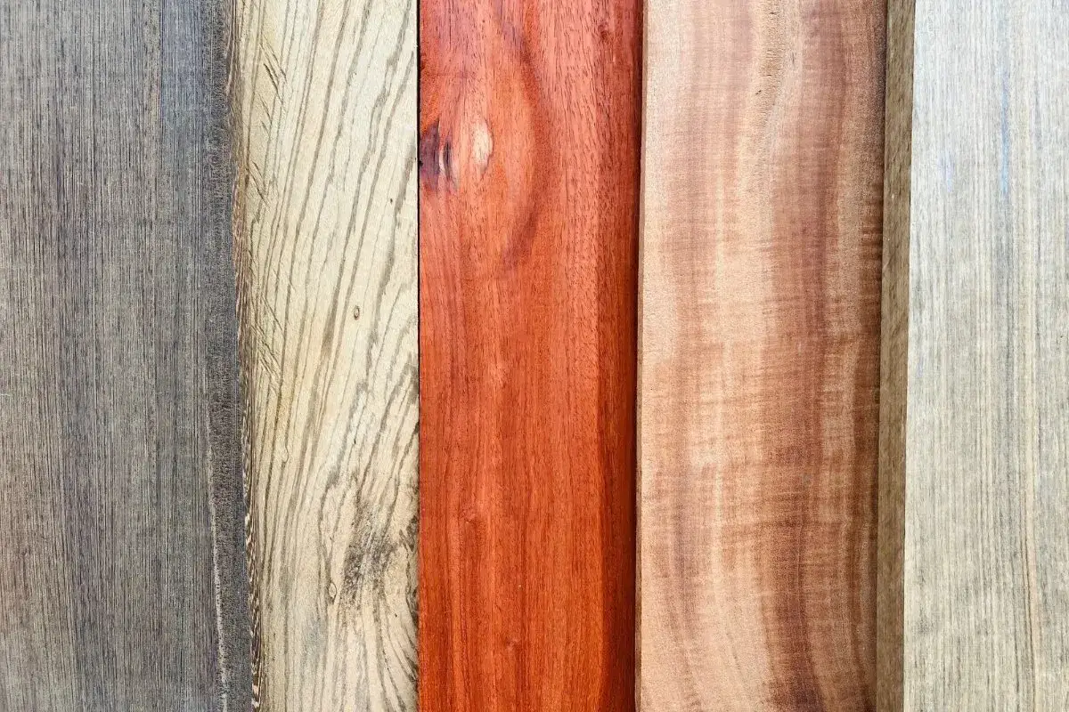 Cinco tablas de madera, incluyendo una vibrante madera africana de color rojizo, muestran sus vetas y texturas únicas.